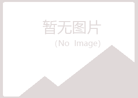 麻城白山化学有限公司